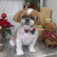 【山手店】2024年11月23日のワンちゃん達♪