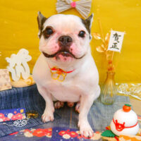 【池下店】2024年12月26日のワンちゃん達♪