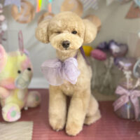 【本店】2024年1月26日のワンちゃん達♪