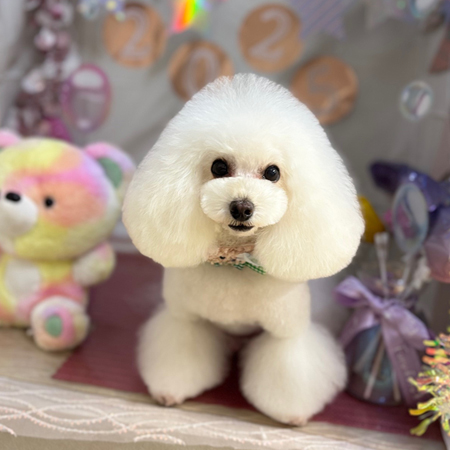 【本店】2025年1月18日のワンちゃん達♪