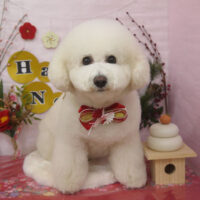 【山手店】2025年1月6日のワンちゃん達♪