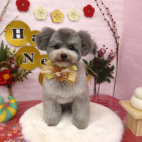 【山手店】2025年1月9日のワンちゃん達♪