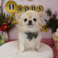 【山手店】2025年1月10日のワンちゃん達♪