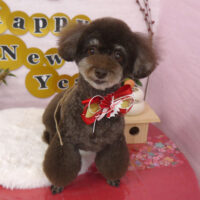 【山手店】2025年1月13日のワンちゃん達♪