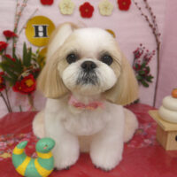 【山手店】2025年1月20日のワンちゃん達♪