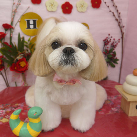 【山手店】2025年1月20日のワンちゃん達♪