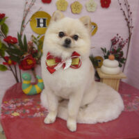 【山手店】2024年1月23日のワンちゃん達♪