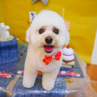 【池下店】2024年1月9日のワンちゃん達♪