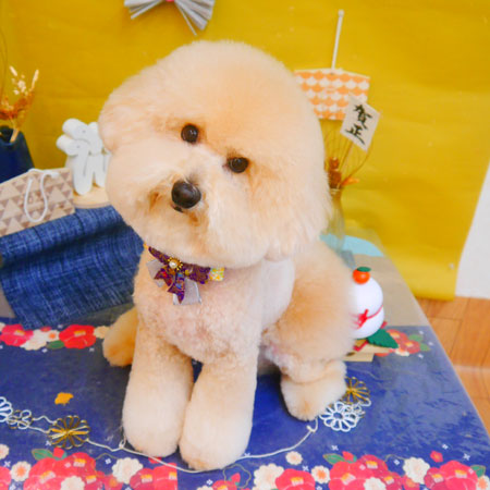 【池下店】2025年1月18日のワンちゃん達♪