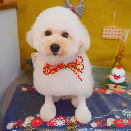 【池下店】2025年1月19日のワンちゃん達♪