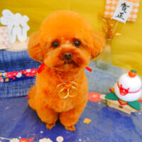 【池下店】2025年1月20日のワンちゃん達♪