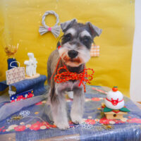 【池下店】2025年1月24日のワンちゃん達♪