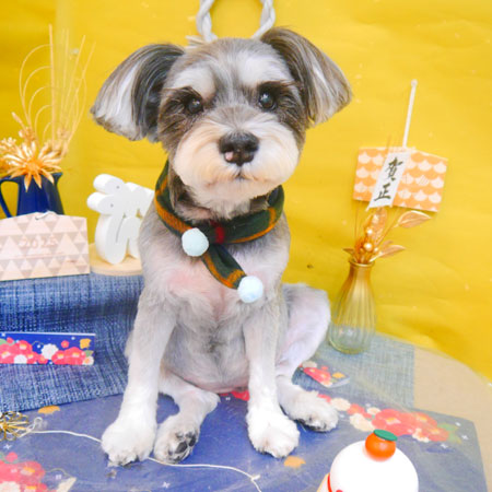 【池下店】2025年1月27日のワンちゃん達♪