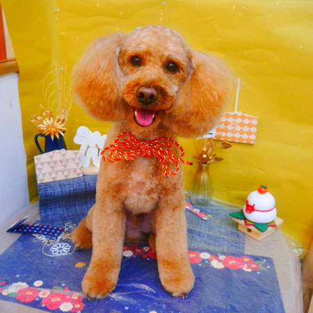 【池下店】2025年1月30日のワンちゃん達♪