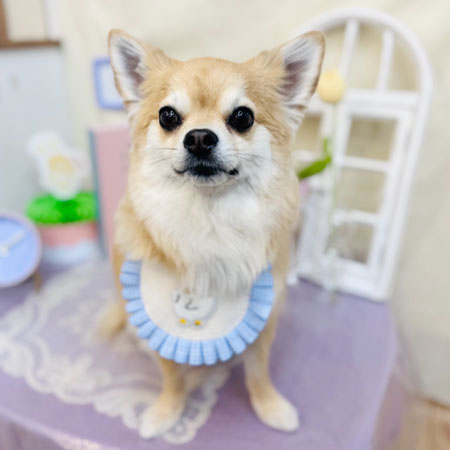 【池下店】2025年2月28日のワンちゃん達♪