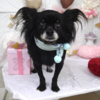 【山手店】2025年2月10日のワンちゃん達♪