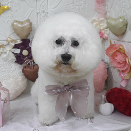 【山手店】2025年2月15日のワンちゃん達♪