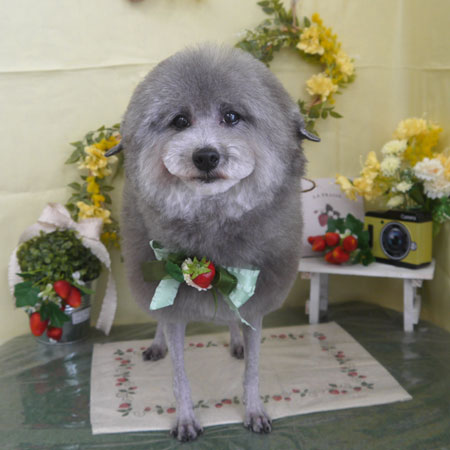 【山手店】2025年2月28日のワンちゃん達♪