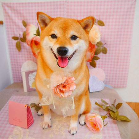 【池下店】2025年2月10日のワンちゃん達♪