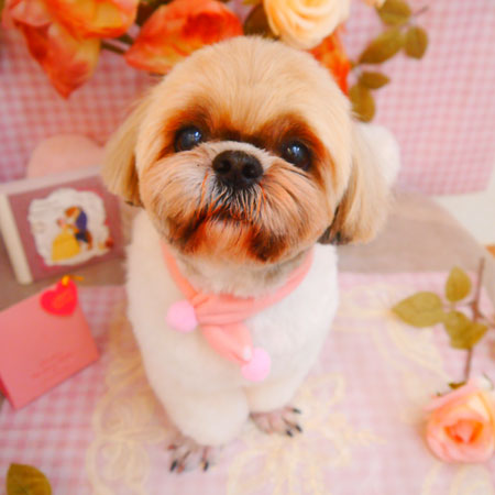 【池下店】2025年2月15日のワンちゃん達♪