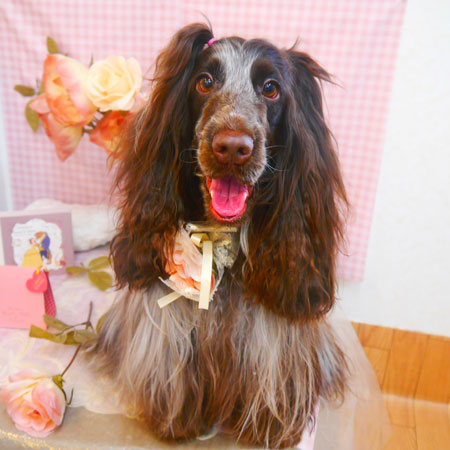 【池下店】2025年2月22日のワンちゃん達♪