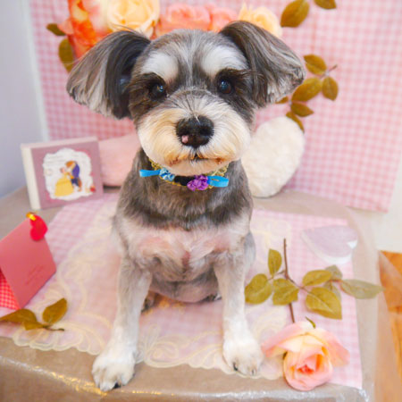 【池下店】2025年2月24日のワンちゃん達♪