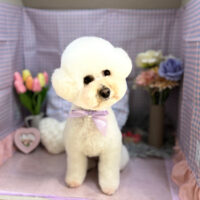 【本店】2025年3月1日のワンちゃん達♪