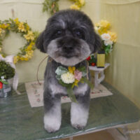 【山手店】2025年3月13日のワンちゃん達♪