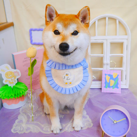 【池下店】2025年3月7日のワンちゃん達♪