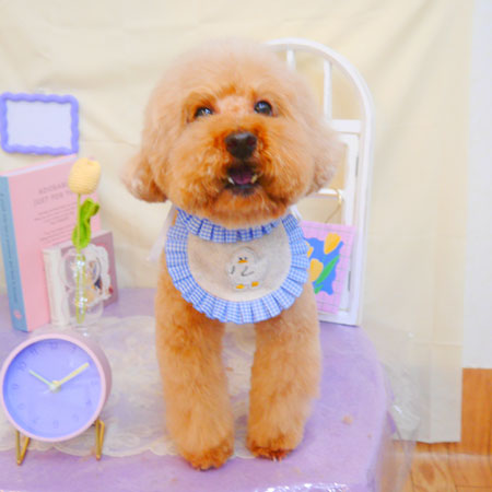 【池下店】2025年3月17日のワンちゃん達♪