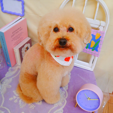 【池下店】2025年3月22日のワンちゃん達♪