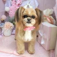 【本店】2025年4月10日のワンちゃん達♪