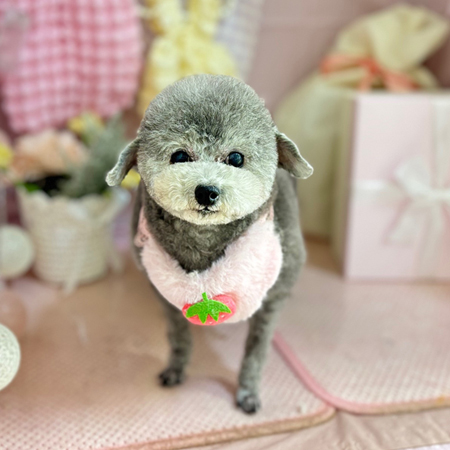 【本店】2025年4月27日のワンちゃん達♪