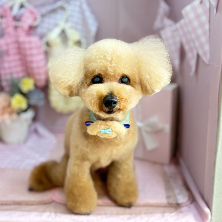 【本店】2025年4月28日のワンちゃん達♪