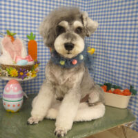 【山手店】2025年4月17日のワンちゃん達♪