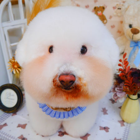 【池下店】2025年4月3日のワンちゃん達♪