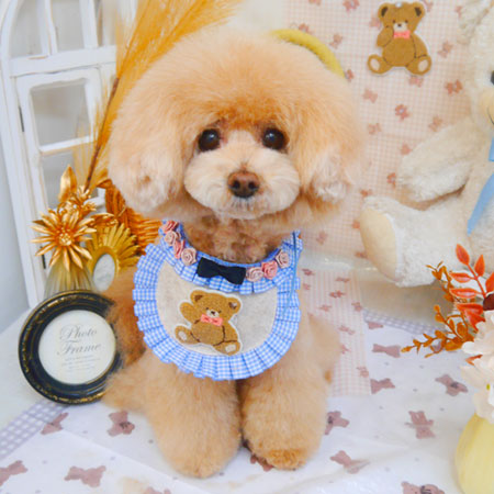 【池下店】2025年4月4日のワンちゃん達♪