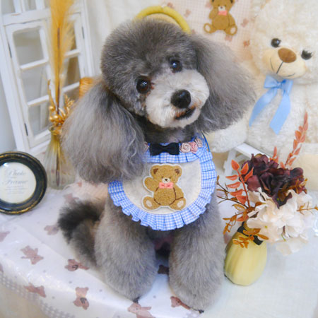 【池下店】2025年4月17日のワンちゃん達♪