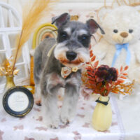 【池下店】2025年4月25日のワンちゃん達♪