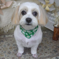 【山手店】2025年5月11日のワンちゃん達♪