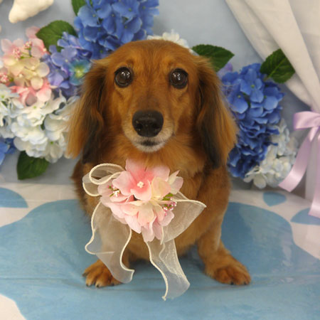 【山手店】2025年5月30日のワンちゃん達♪