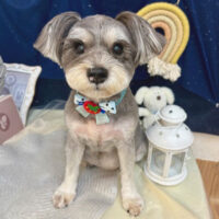 【池下店】2025年6月29日のワンちゃん達♪