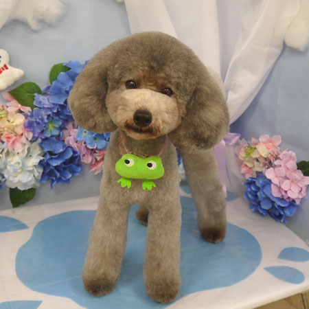 【山手店】2025年6月2日のワンちゃん達♪