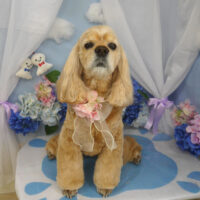 【山手店】2025年6月5日のワンちゃん達♪