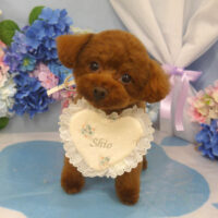 【山手店】2025年6月8日のワンちゃん達♪