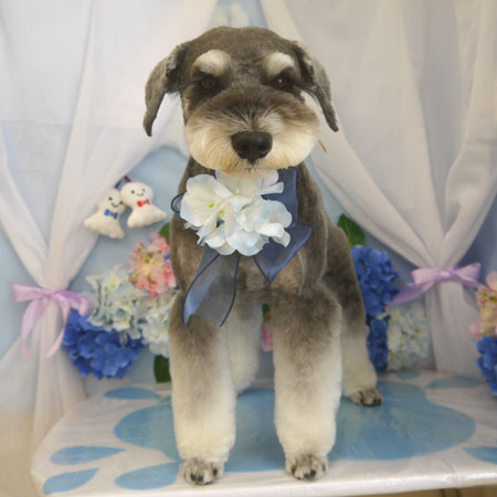 【山手店】2025年6月13日のワンちゃん達♪