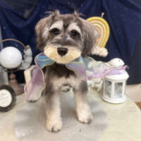 【池下店】2025年7月19日のワンちゃん達♪