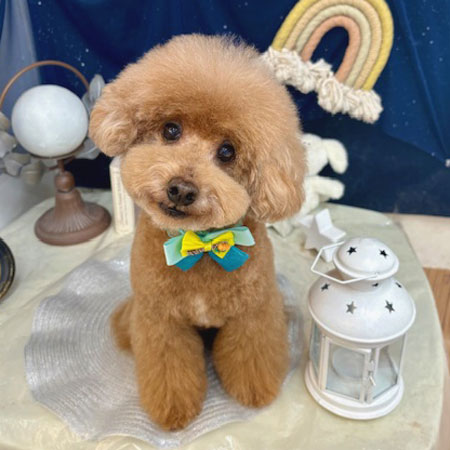 【池下店】2025年7月7日のワンちゃん達♪