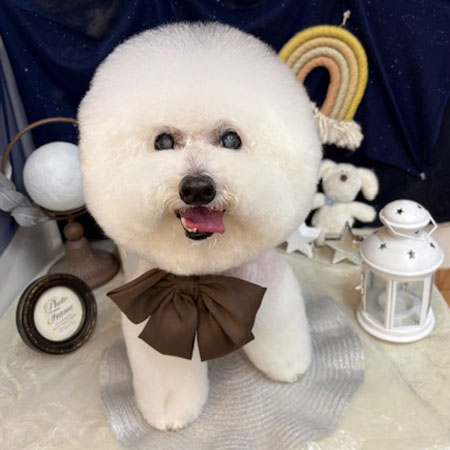 池下店】2025年7月20日のワンちゃん達♪ - 犬のトリミングサロン