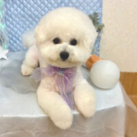 【池下店】2025年7月26日のワンちゃん達♪